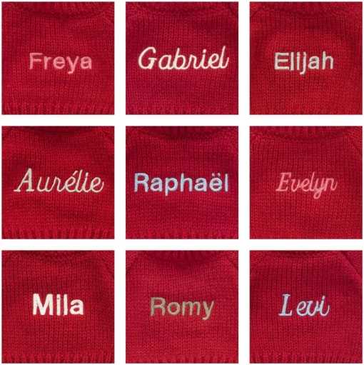 Bashful Giraffe with Personalised Red Jumper