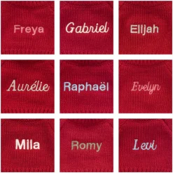 Bashful Lion with Personalised Red Jumper