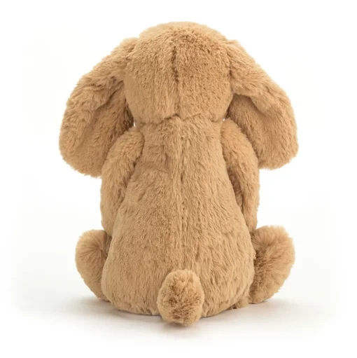 Bashful Toffee Puppy