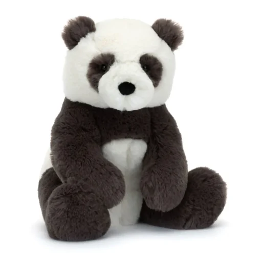 Harry Panda Cub