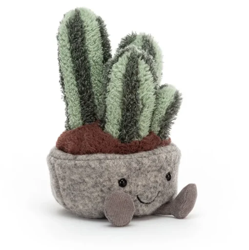 Silly Succulent Columnar Cactus