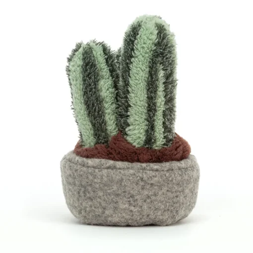 Silly Succulent Columnar Cactus