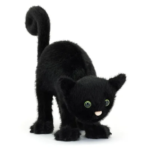 Spookipaws Cat