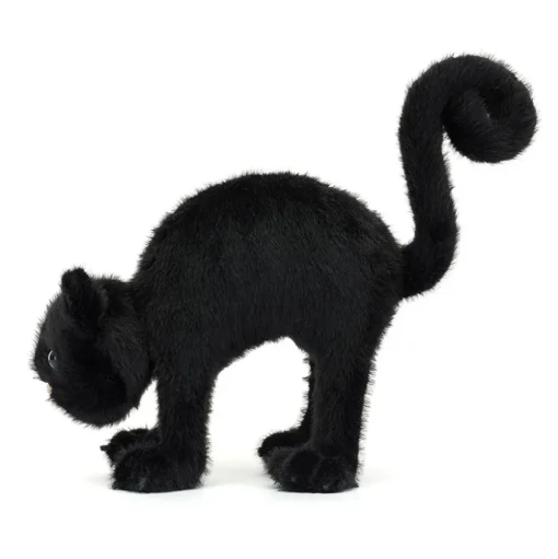 Spookipaws Cat